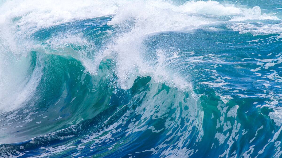 Two women drown after being swept off rocks in south Sydney Two women drown after being swept off rocks in south Sydney