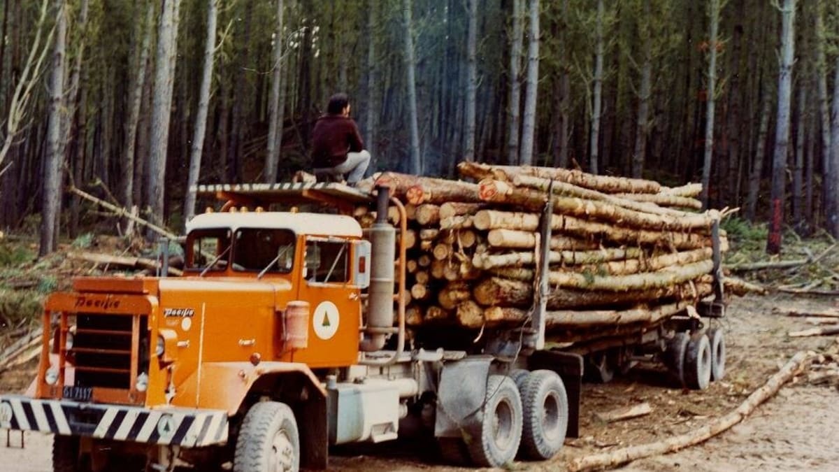 The final reunion: Former NZ Forest Products workers set to gather The final reunion: Former NZ Forest Products workers set to gather