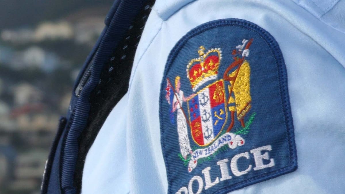Youths missing from bootcamp found as police respond to carjacking, machete-wielding teens in Hamilton Youths missing from bootcamp found as police respond to carjacking, machete-wielding teens in Hamilton