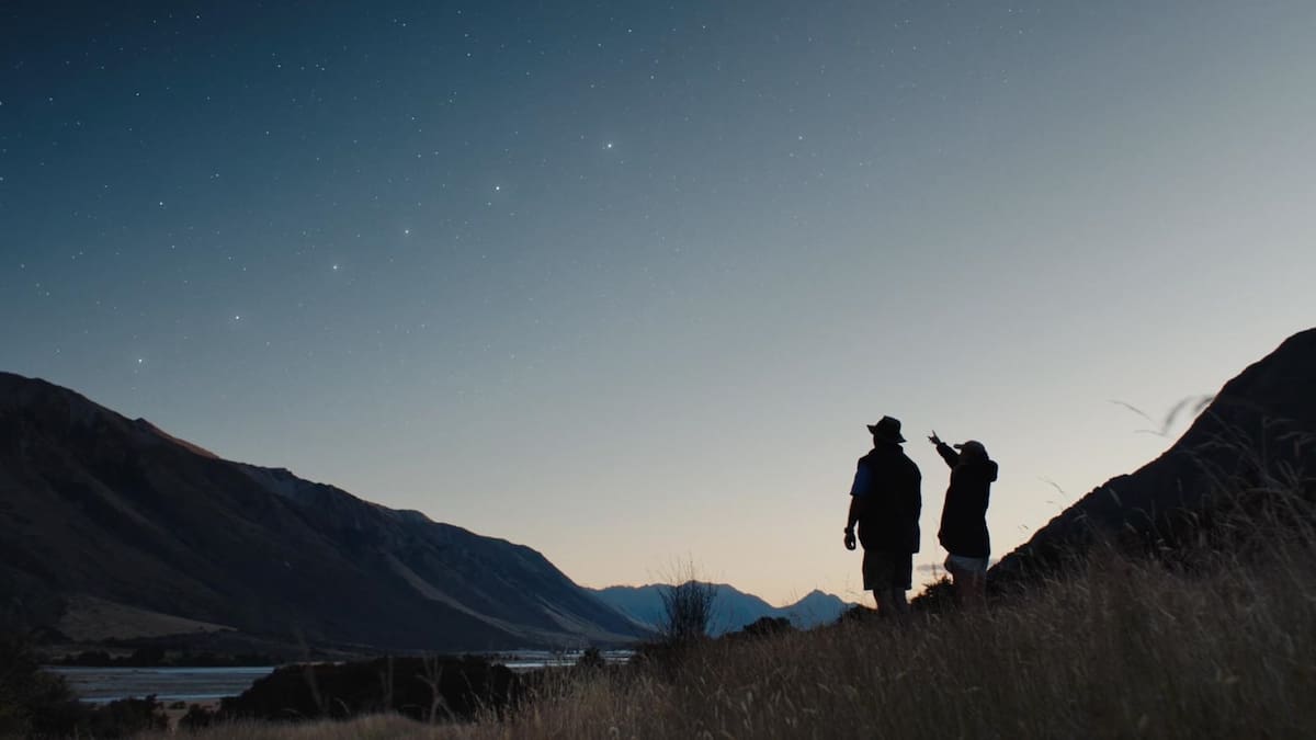 Space cows: Halter hooks up with Elon Musk’s Starlink – how the costs compare Space cows: Halter hooks up with Elon Musk’s Starlink – how the costs compare