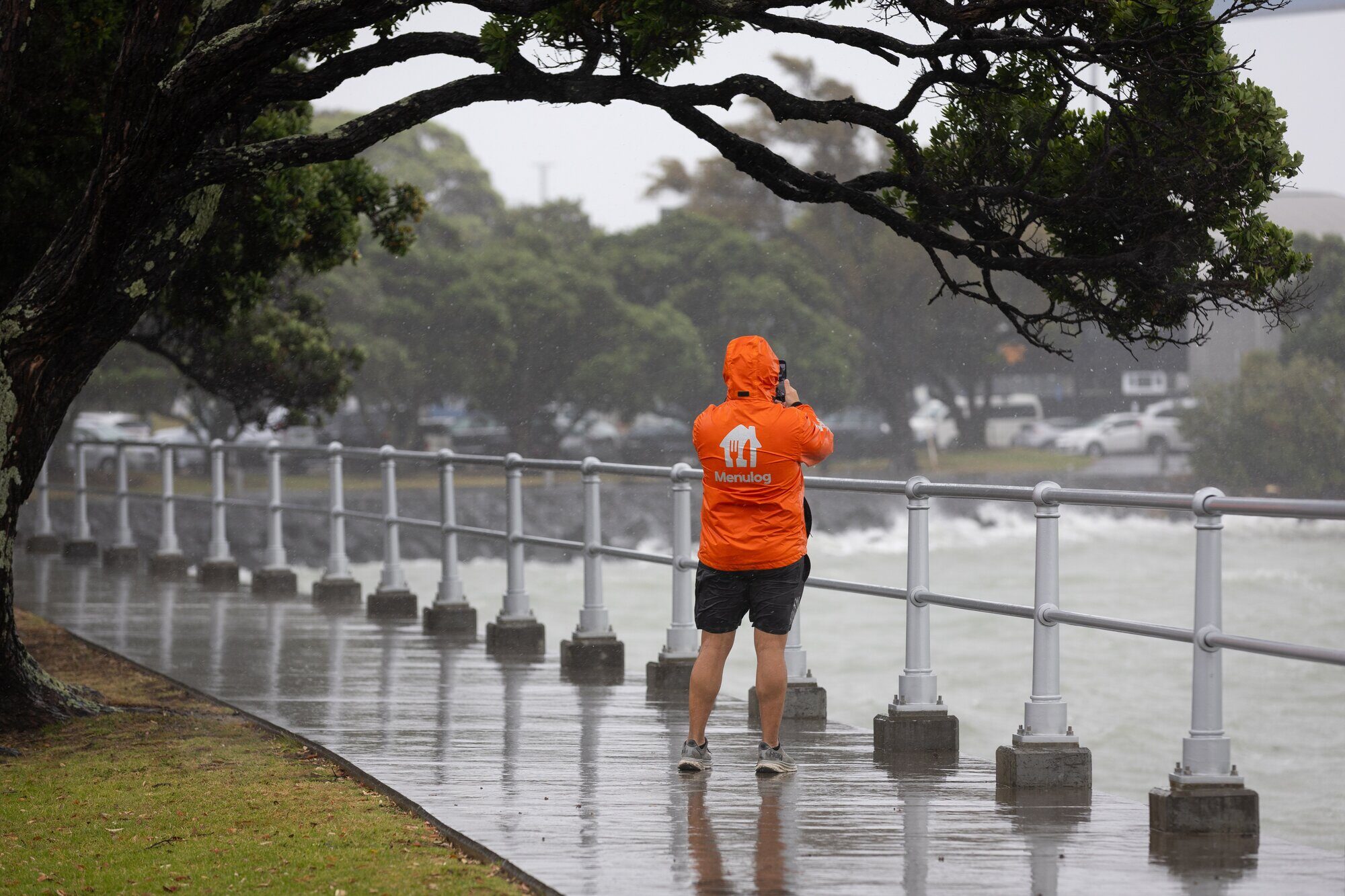 Frosty Blast and Heavy Rain: South Island Braces for Twin Weather Threats — image 2