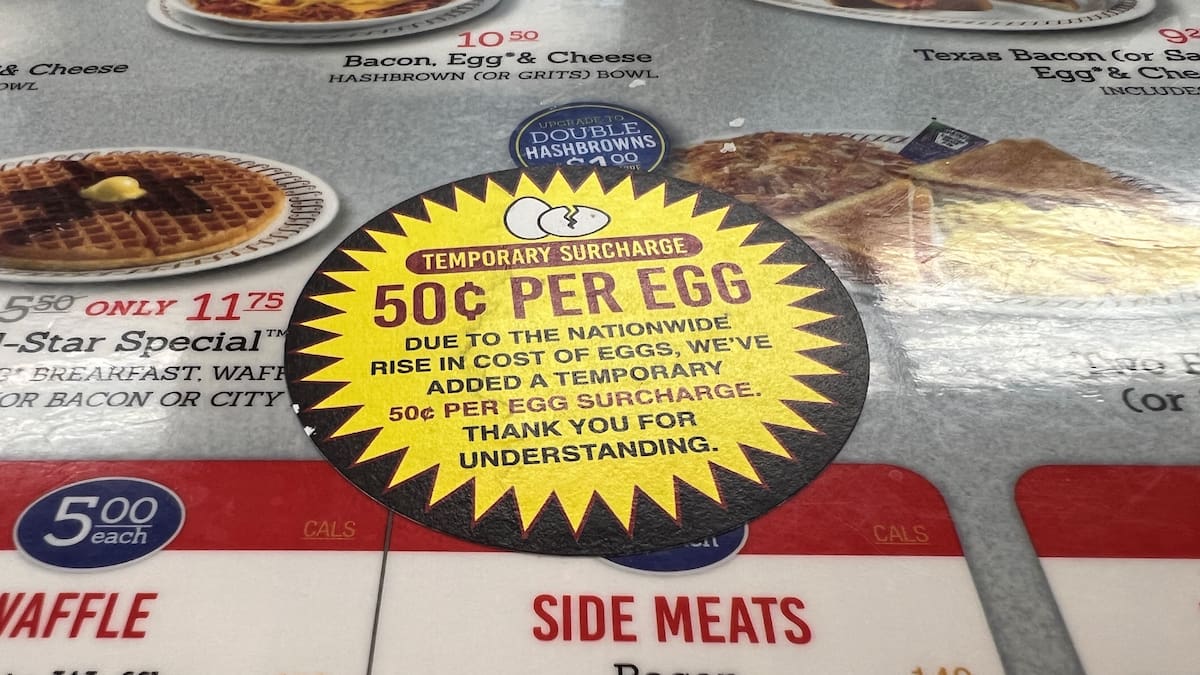 ‘So expensive’: Avian flu triggers US egg price hike, shortages ‘So expensive’: Avian flu triggers US egg price hike, shortages