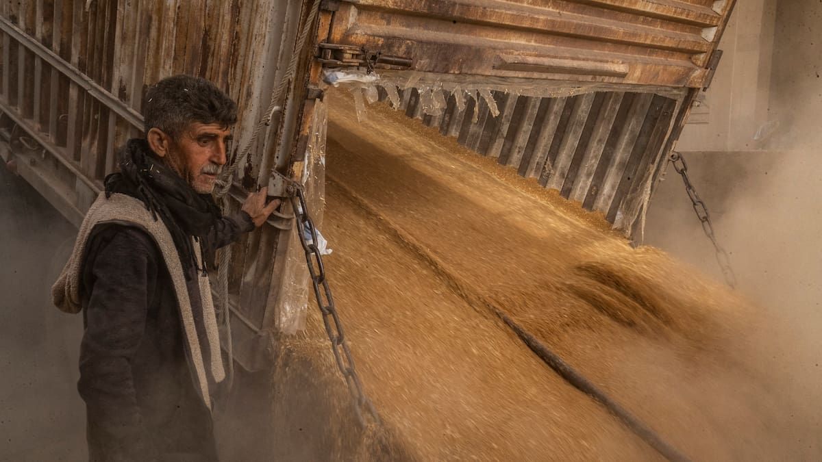 Syria faces wheat crisis as drought and war push millions toward hunger