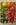 Red peppers should be deep brick red for the most intense flavour. Photo / Andrew Bui, The New York Times