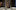 Daniel Kaluuya as Chris in Get Out.