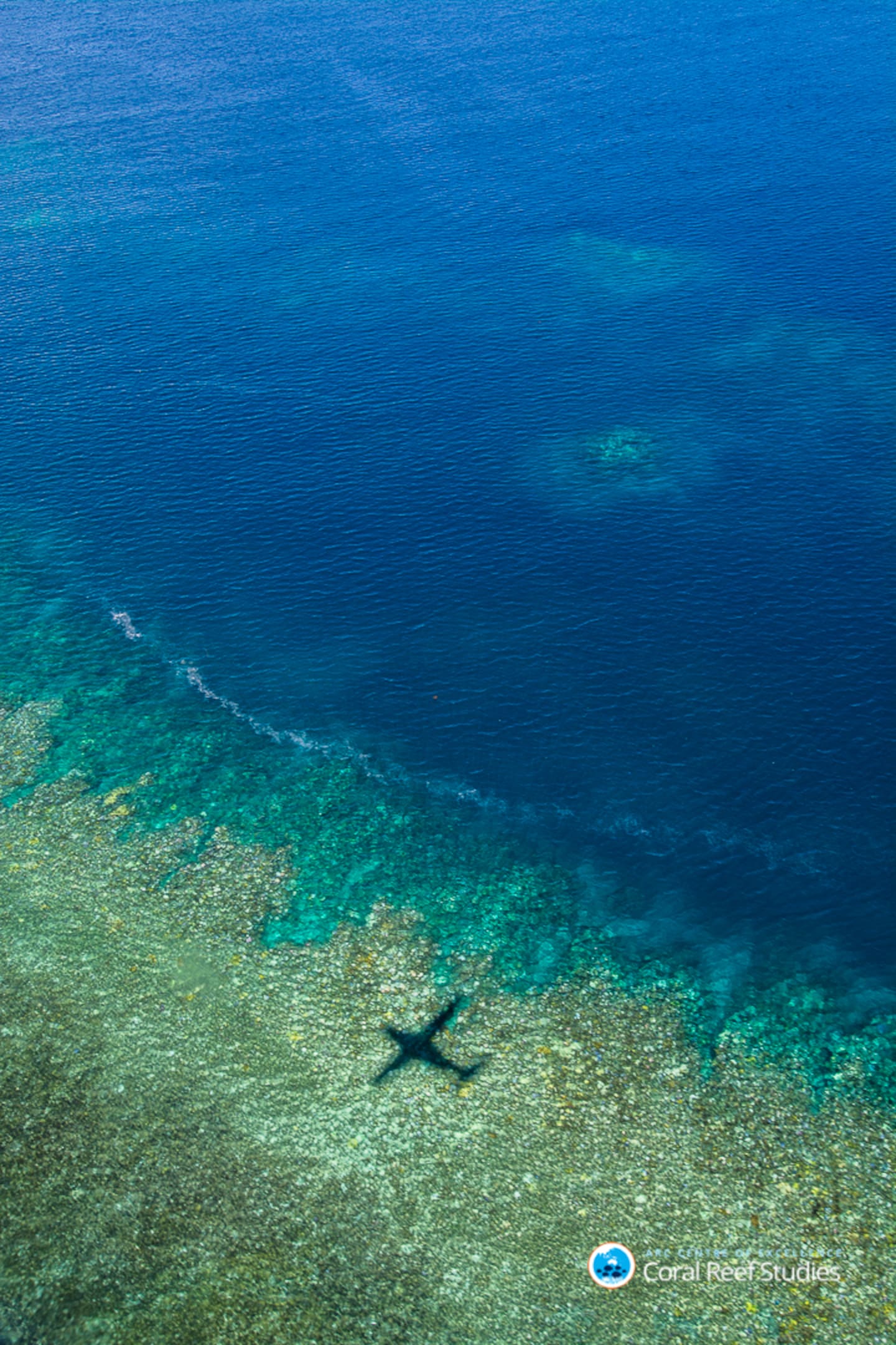 Bleaching of coral on the Great Barrier Reef as seen in an aerial survey. Photo / Ed Roberts