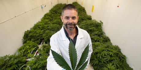 Markets with Madison: NZ medicinal cannabis company Cannasouth’s ex-chief executive Mark Lucas talks about what went wrong