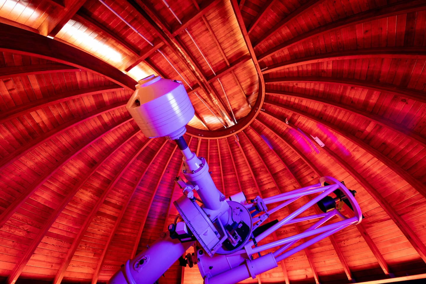 The restored roof is absolutely magnificent says Victoria Travers. Photo / Michael Craig