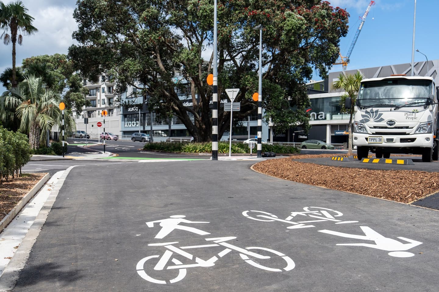 The placement of the pole has been described as "bizarre", "disheartening" and "frustrating". Photo / Annaleise Shortland