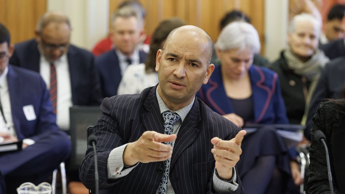 ‘A let-down’: Iwi challenges DoC, minister over ski field deals ‘A let-down’: Iwi challenges DoC, minister over ski field deals