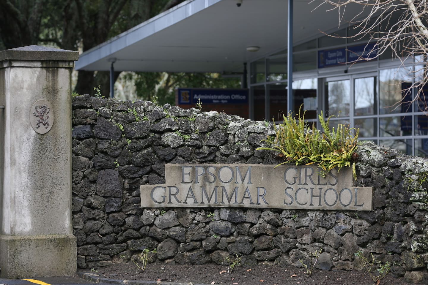 Epsom Girls Grammar School first learned of the sexual allegations involving Peter Thomas and the girl in November 2019.