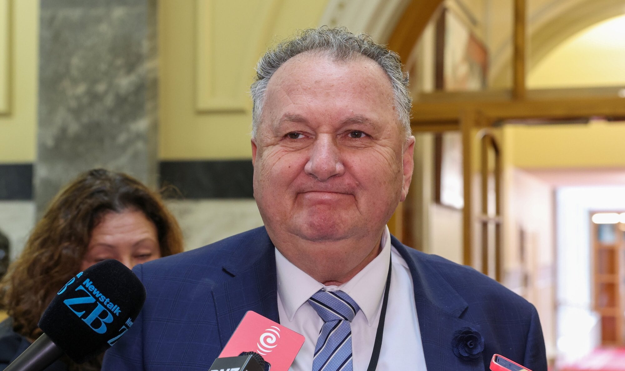 Regional Development Minister Shane Jones. Photo / Mark Mitchell