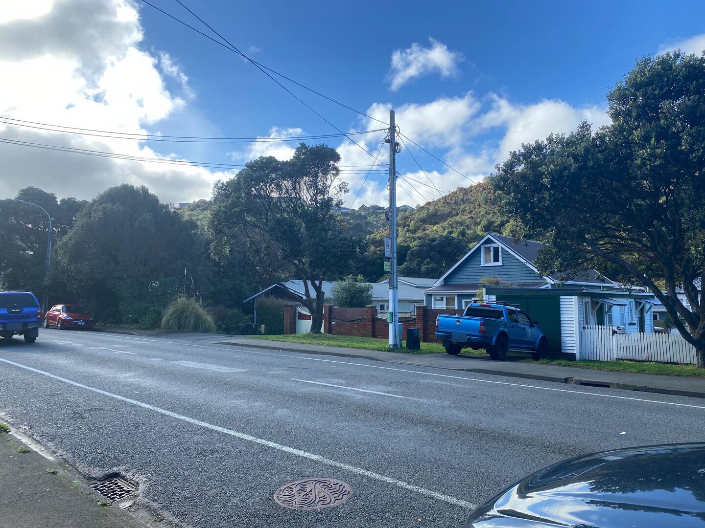 A neighbour said he saw police teams digging the front yard of a property on Happy Valley Road after human remains were found in the garden. Photo / Ethan Manera