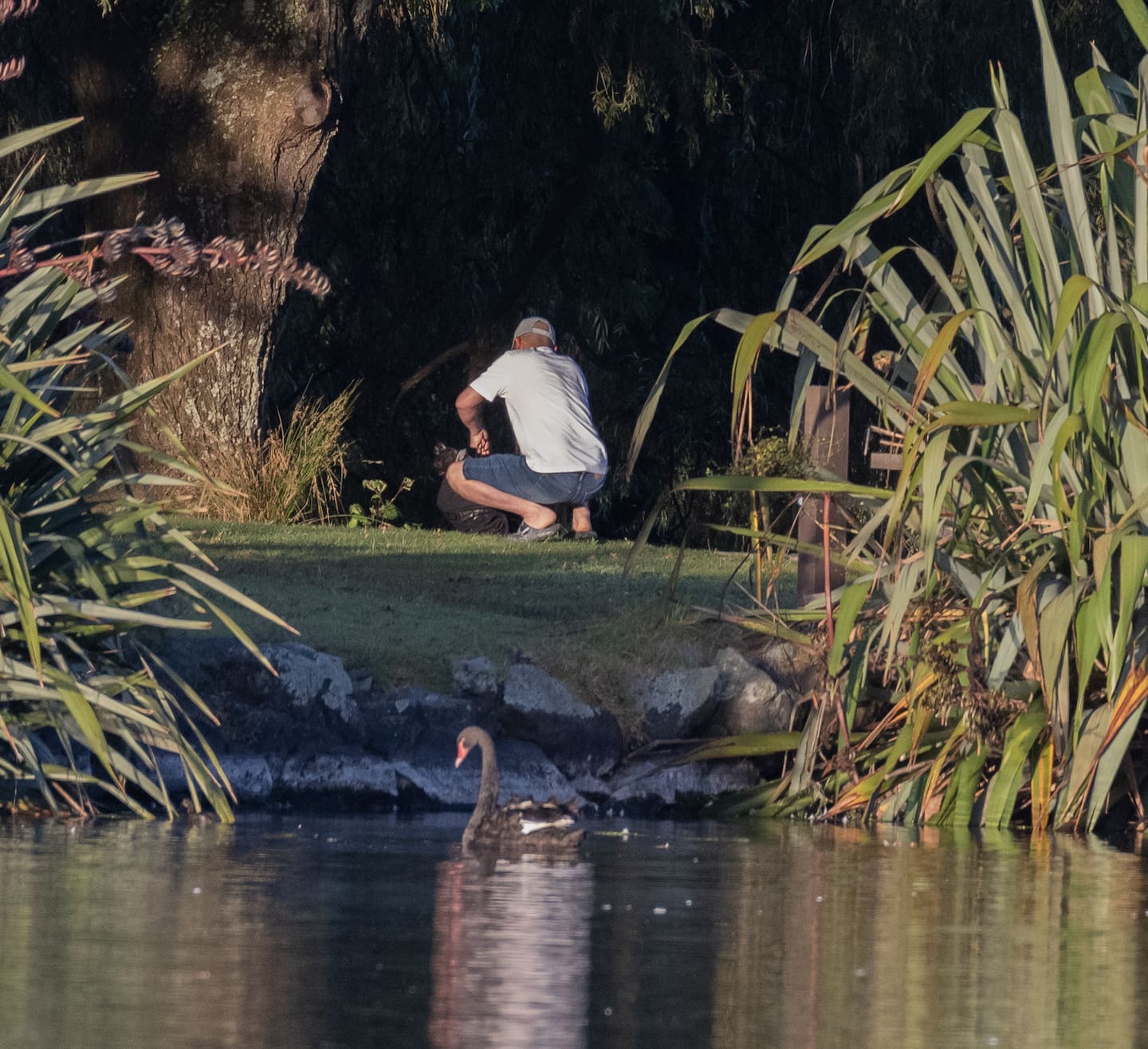 The man was seen leaving the area with a bag after the alleged attack. Photo / Lydia Gillies, Geoff Shepherd