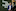 Silver Fern Farms Chief Executive Dan Boulton