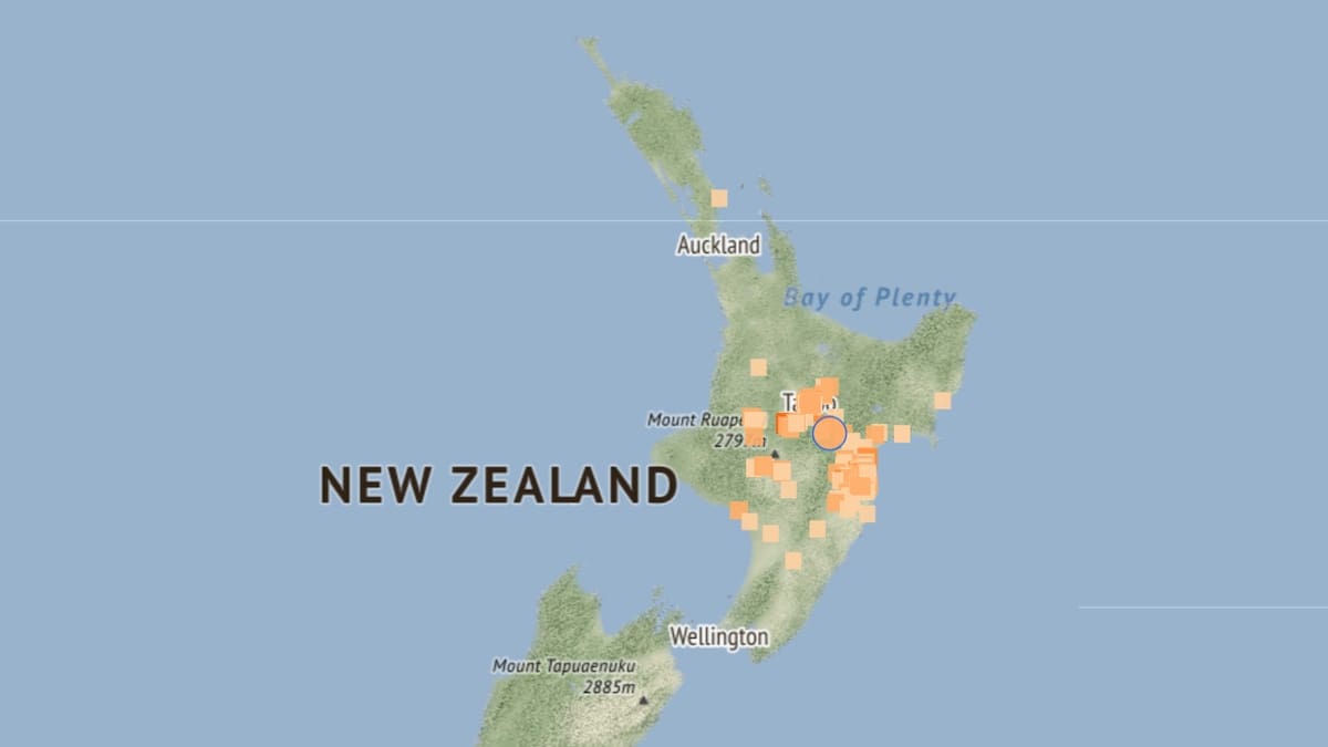 A 4.6 magnitude earthquake was felt south of Taupo in Hawke's Bay