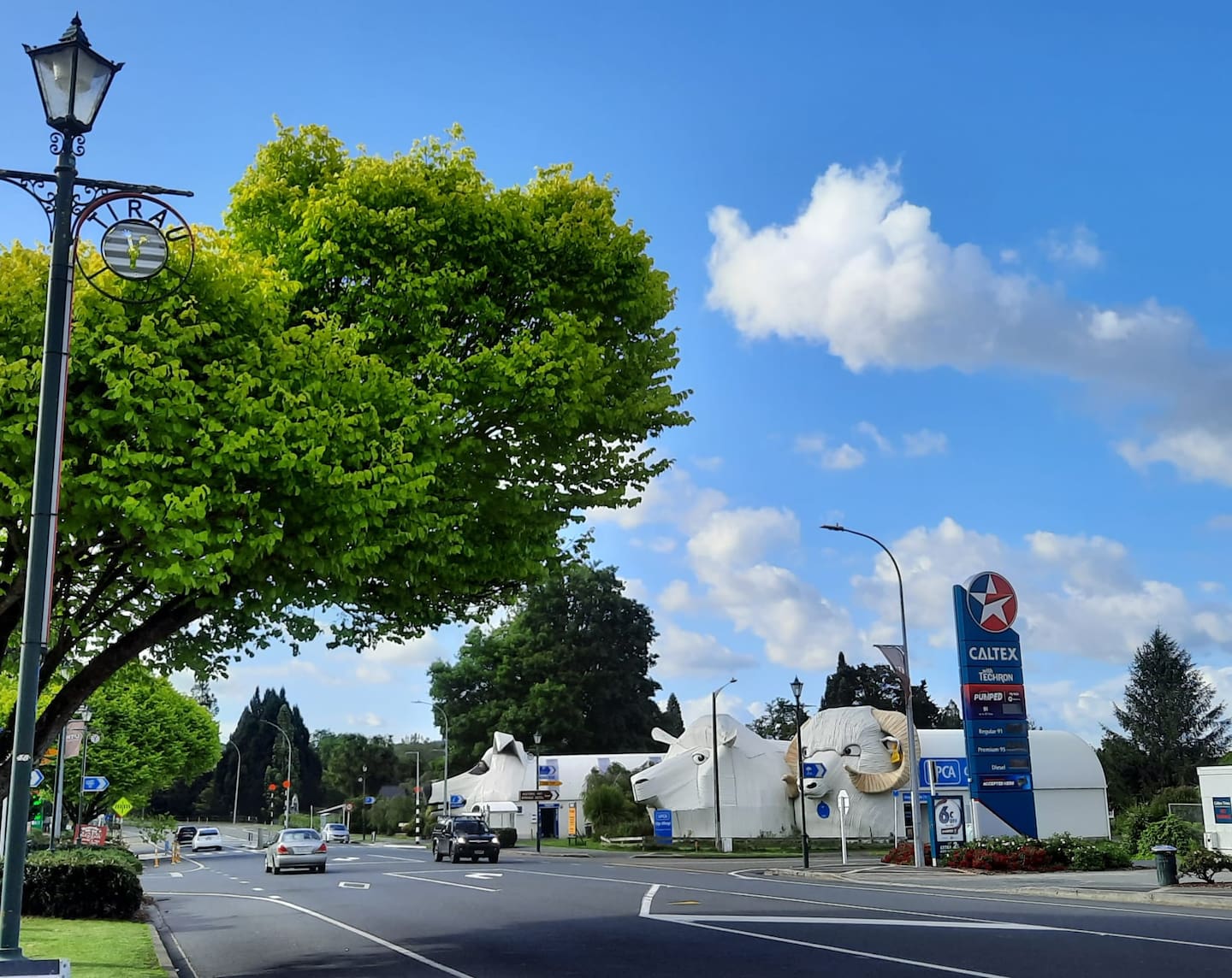 Tīrau is located on SH1. Photo / Danielle Zollickhofer