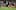 ‘Utterly unforgiving’: South African media reacts to All Blacks performance ‘Utterly unforgiving’: South African media reacts to All Blacks performance