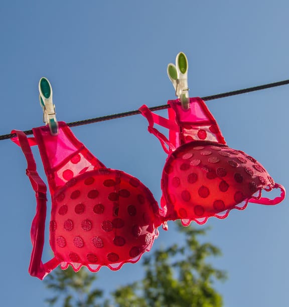 Dirty laundry: Stella McCartney and the new bra-washing conundrum - NZ  Herald