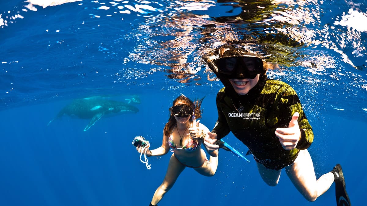 Niue family adventures: Swim with whales, explore caves, and more with your kids