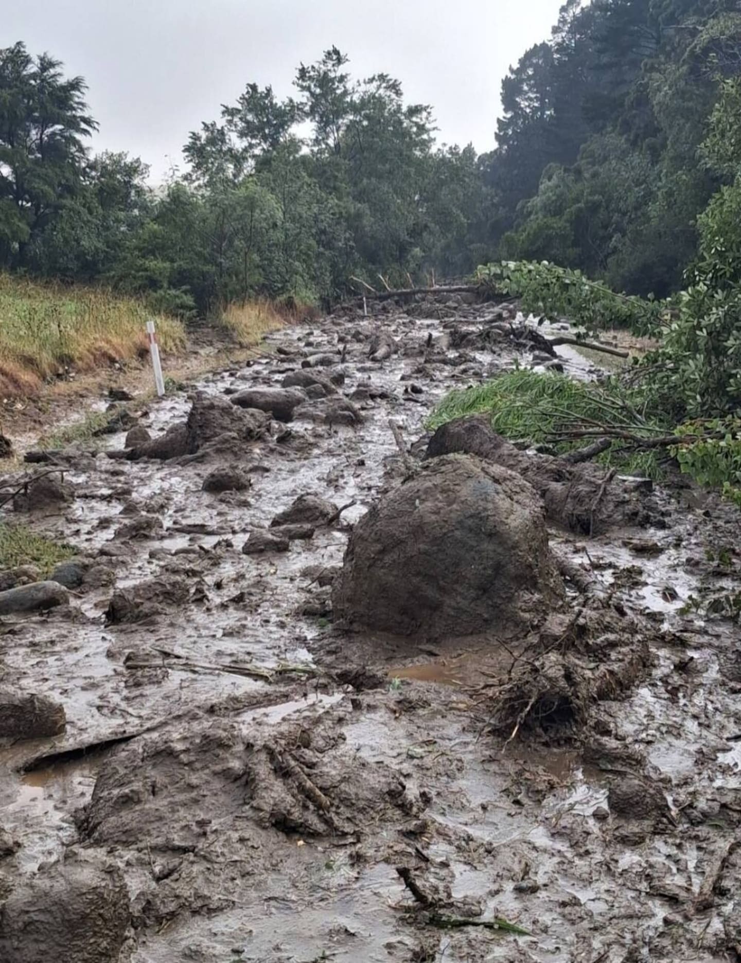 Maree Brownlie said the slips along the road in Te Araroa were “not just a bit of debris” and would require large earthmoving equipment to shift.. Photo / Maree Brownlie
