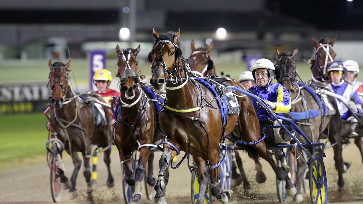 New Zealand’s unluckiest pacer Hawkeye Pierce finally drawn to show his best at Alexandra Park