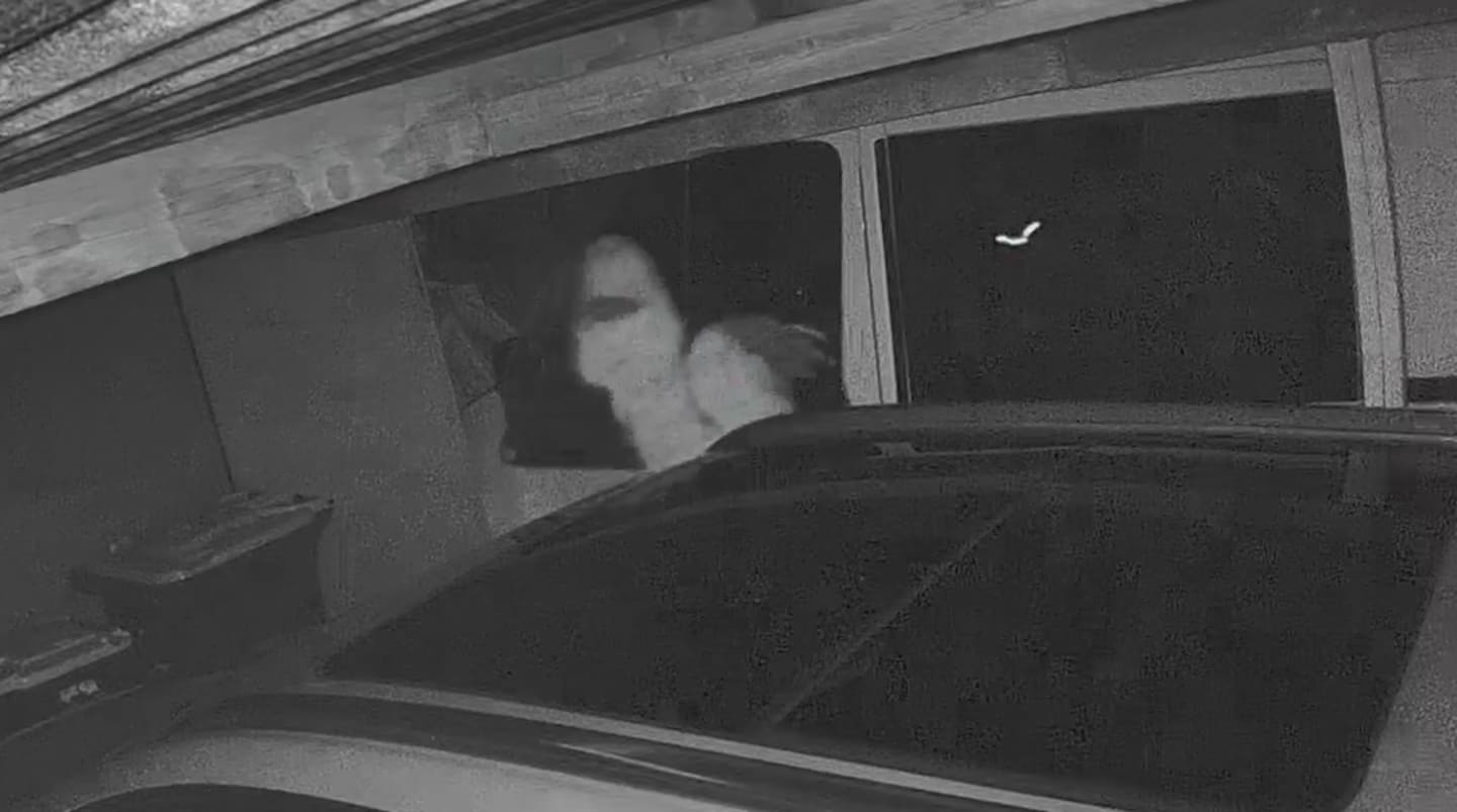 The alleged firebug caught on CCTV before fire engulfed the vehicle and carport.