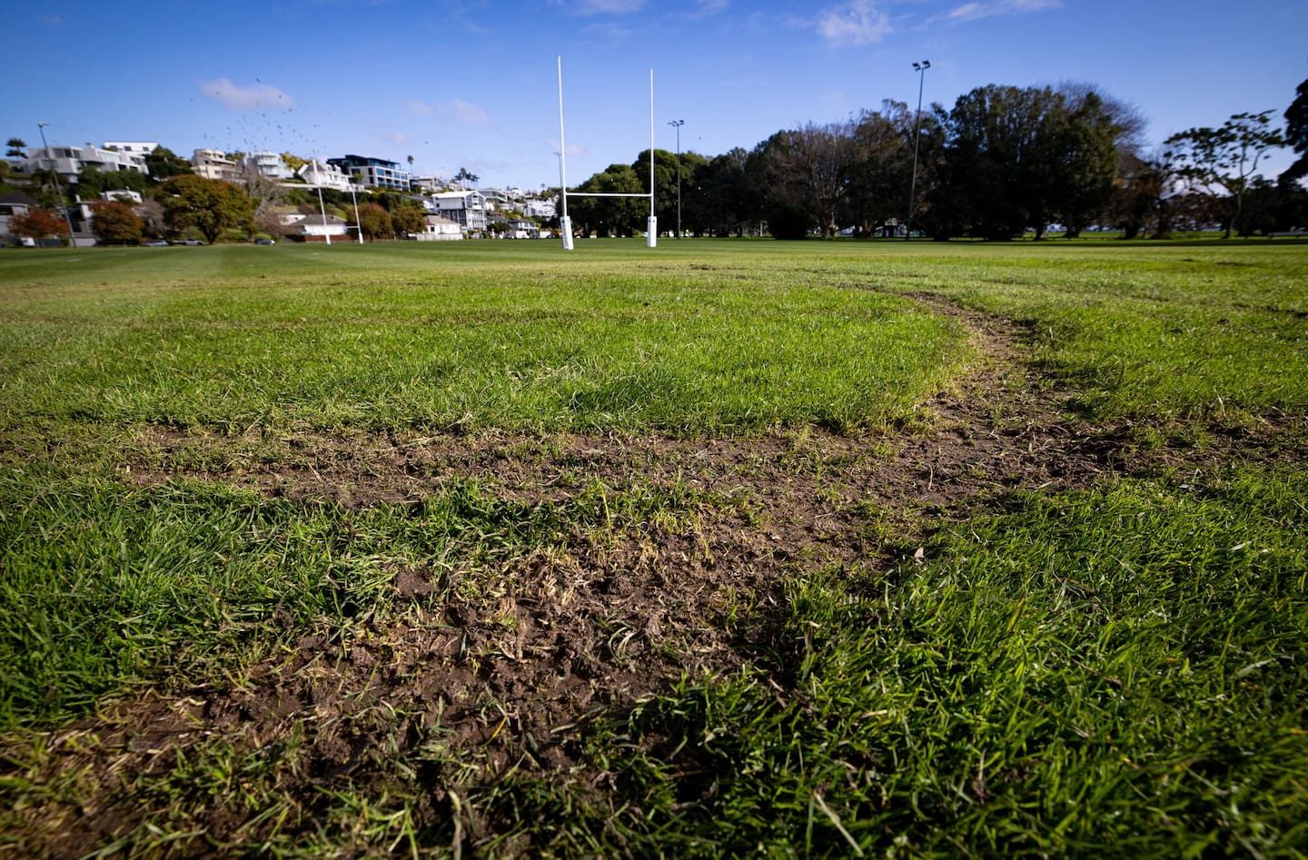 Some of the damage caused by the vandals. Photo / Dean Purcell