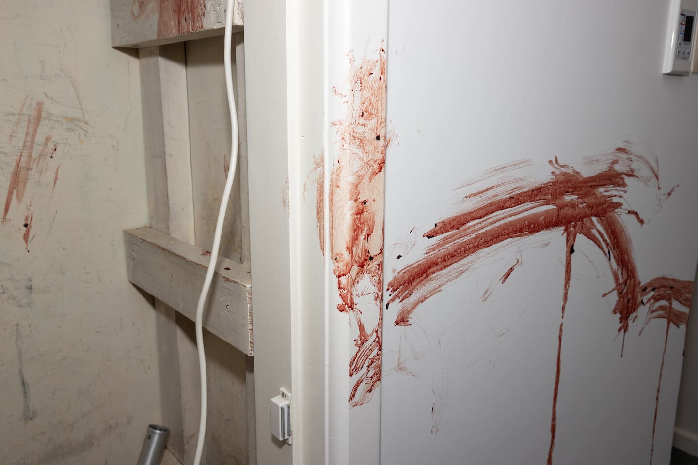 There was blood found on the walls outside the utility cupboard in Helen Gregory's house. Photo / Supplied
