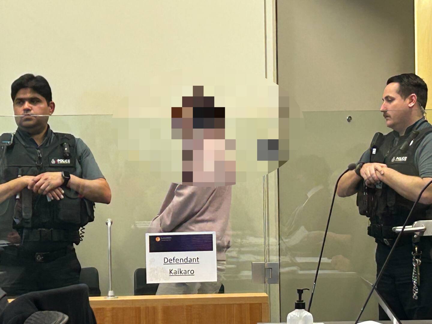 The woman charged with neglect after a toddler was found in a suitcase on a bus travelling from Northland to Auckland has appeared in court.