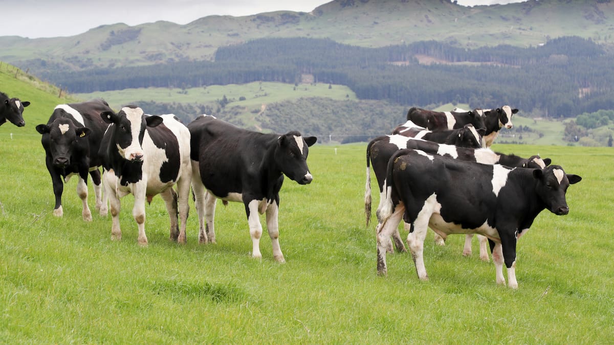 Why farmer confidence has reached 'lofty heights'