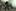 Halo: Reach