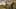 Fallout: New Vegas. Photo / Bethesda Softworks