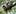 Kookaburra at Finch Hatton Bush Camp. Photo / Supplied