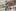 Coen Trembath, 2,