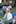 Photo / Te Matatini Enterprises
