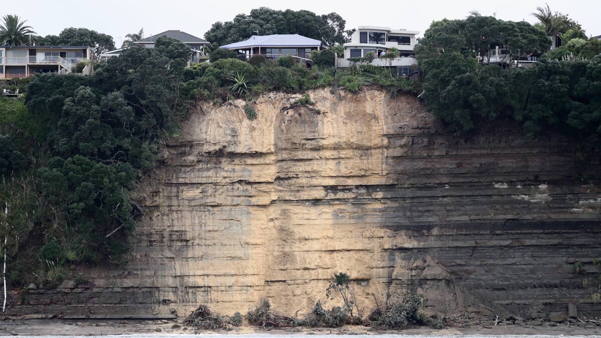 New danger as gardens fall into sea as North Shore cliff face collapses ...