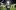 When it comes to Ryan Nelsen there can be no doubt the All Whites' captain was the pivotal figure in not only getting the national soccer side into the World Cup finals, but in their remarkable Group F draws against Slovakia, Italy and Paraguay.