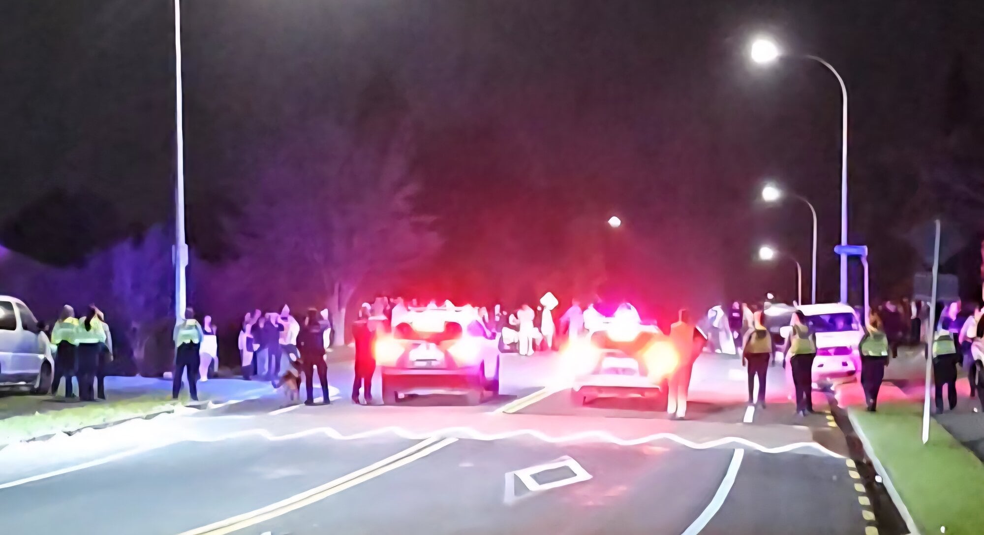  A local resident said police officers with a police dog and police cars formed a line to move the crowd along Victory St towards James Cook Drive. Photo / Supplied