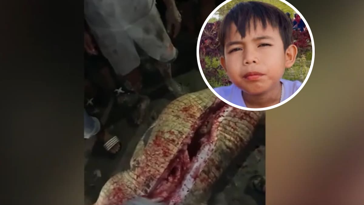 Watch: Furious villagers slay crocodile, cut stomach open after local boy snatched Watch: Furious villagers slay crocodile, cut stomach open after local boy snatched