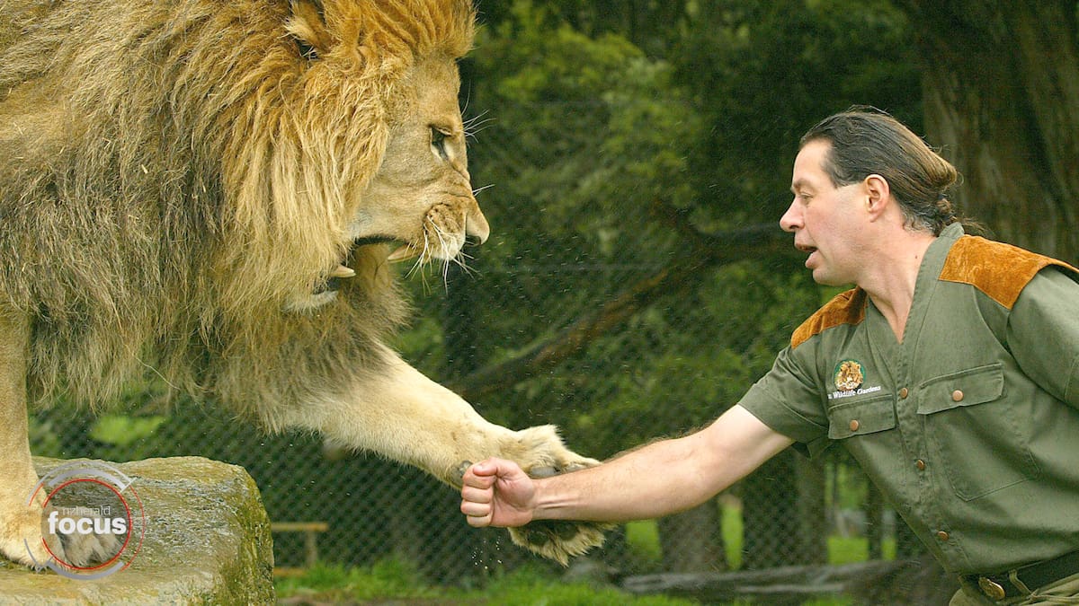 Tiger King movie: Tara Reid in talks to play Carole Baskin NZ Herald