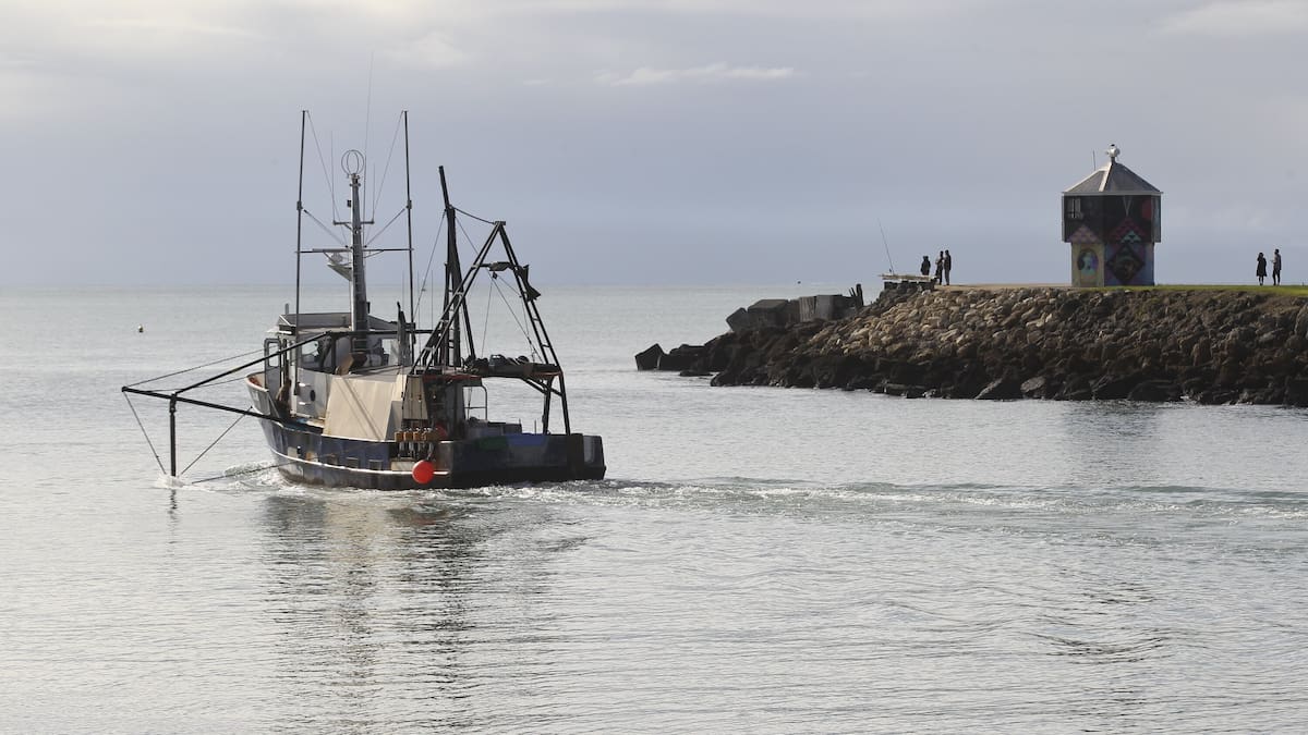 ‘Break gear or harm people’: Sabotage, shooting and ‘huhu-grub’ threats for commercial fishers ‘Break gear or harm people’: Sabotage, shooting and ‘huhu-grub’ threats for commercial fishers
