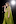 While singing several songs from her album Folklore, the pop star wears a floaty floor-length gown. Photo / Getty Images