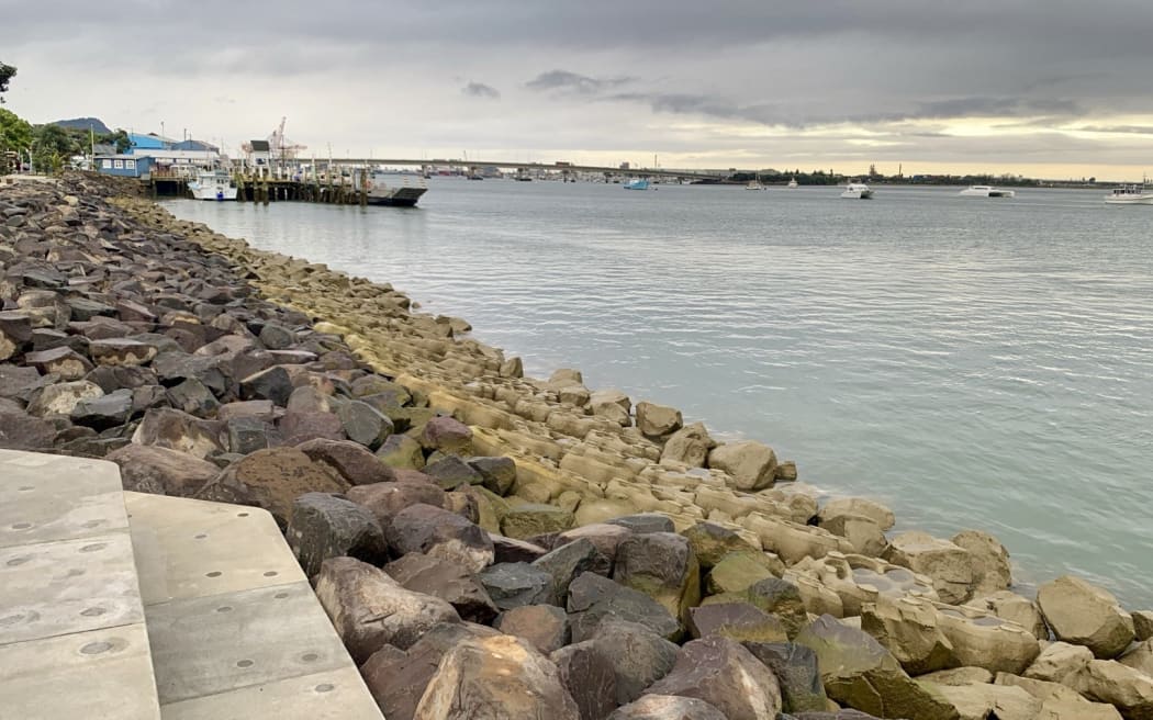 The 'sea pods' are designed to encourage marine life back into highly modified urban shorelines. Photo / Tauranga City Council