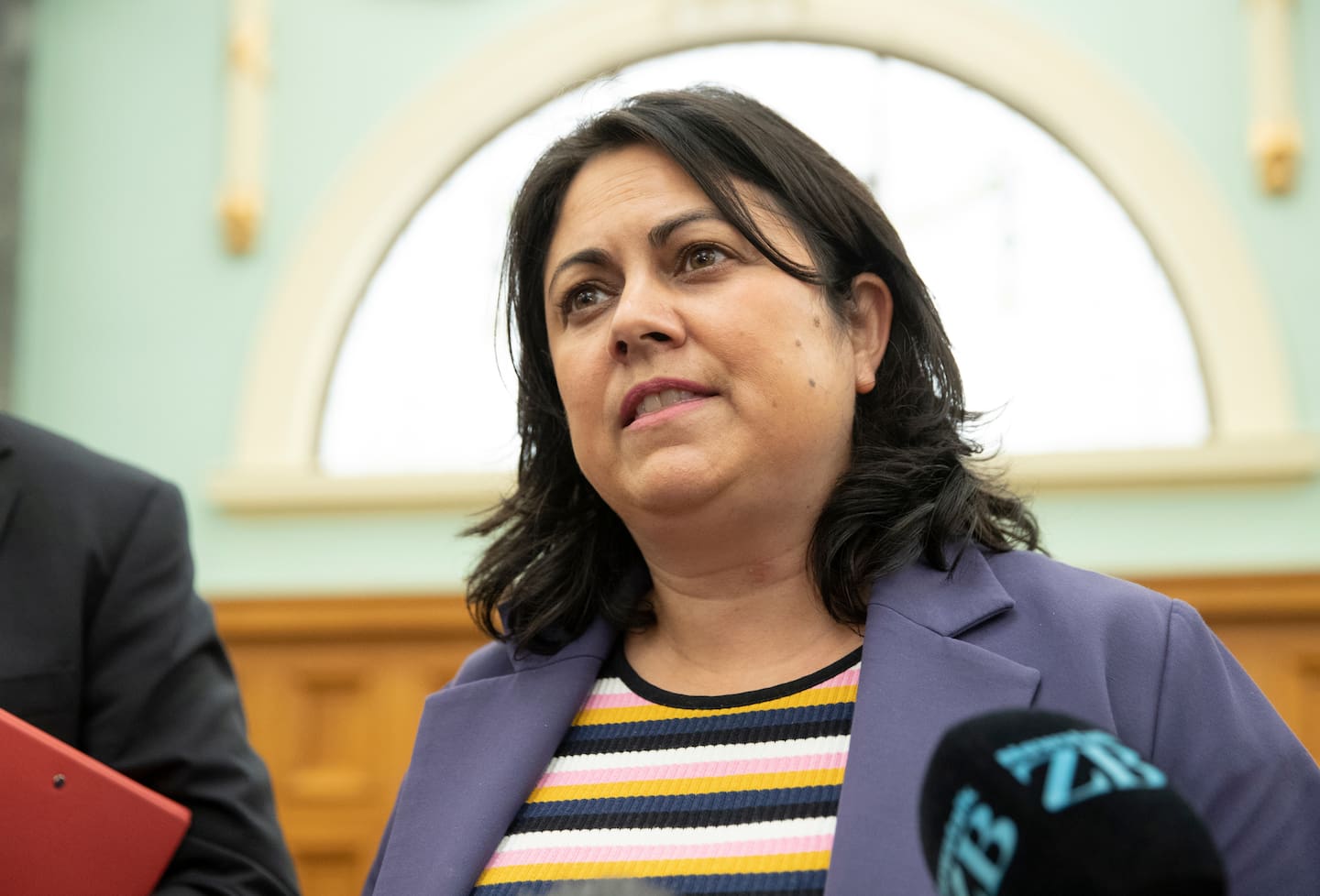 Labour Party health spokeswoman Dr Ayesha Verrall: "We need to make sure we are valuing all of the health workforce." Photo / Mark Mitchell