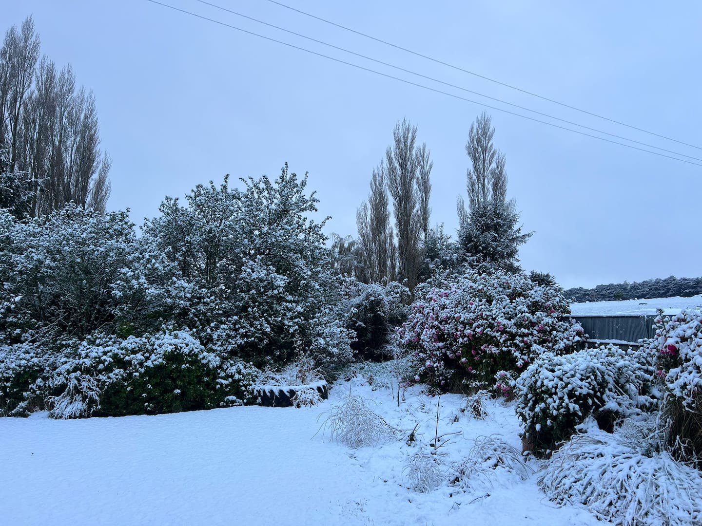 Around 2cm of snow has fallen in Gore this morning. Photo / Gore District Council
