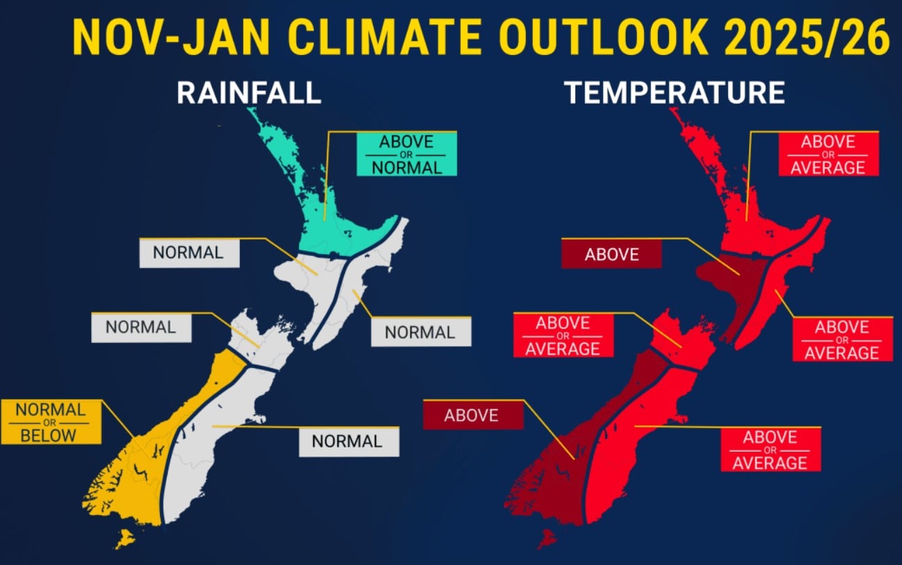 The long-term average and forecast temperatures for November 2025 to January 2026. Photo / Earth Science New Zealand