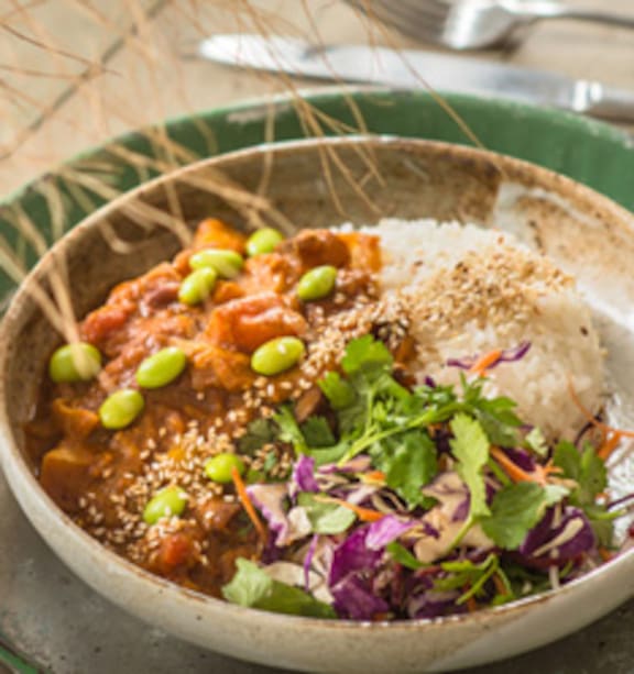 Japanese Curry Brick Recipe New Releases - Main Image