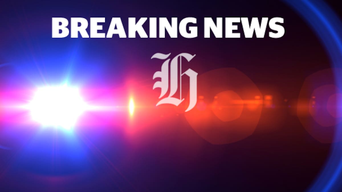 Lolly stop unravels Hawke’s Bay teens’ crime spree – but not before eight cars stolen, dairy held up – NZ Herald Lolly stop unravels Hawke’s Bay teens’ crime spree – but not before eight cars stolen, dairy held up – NZ Herald