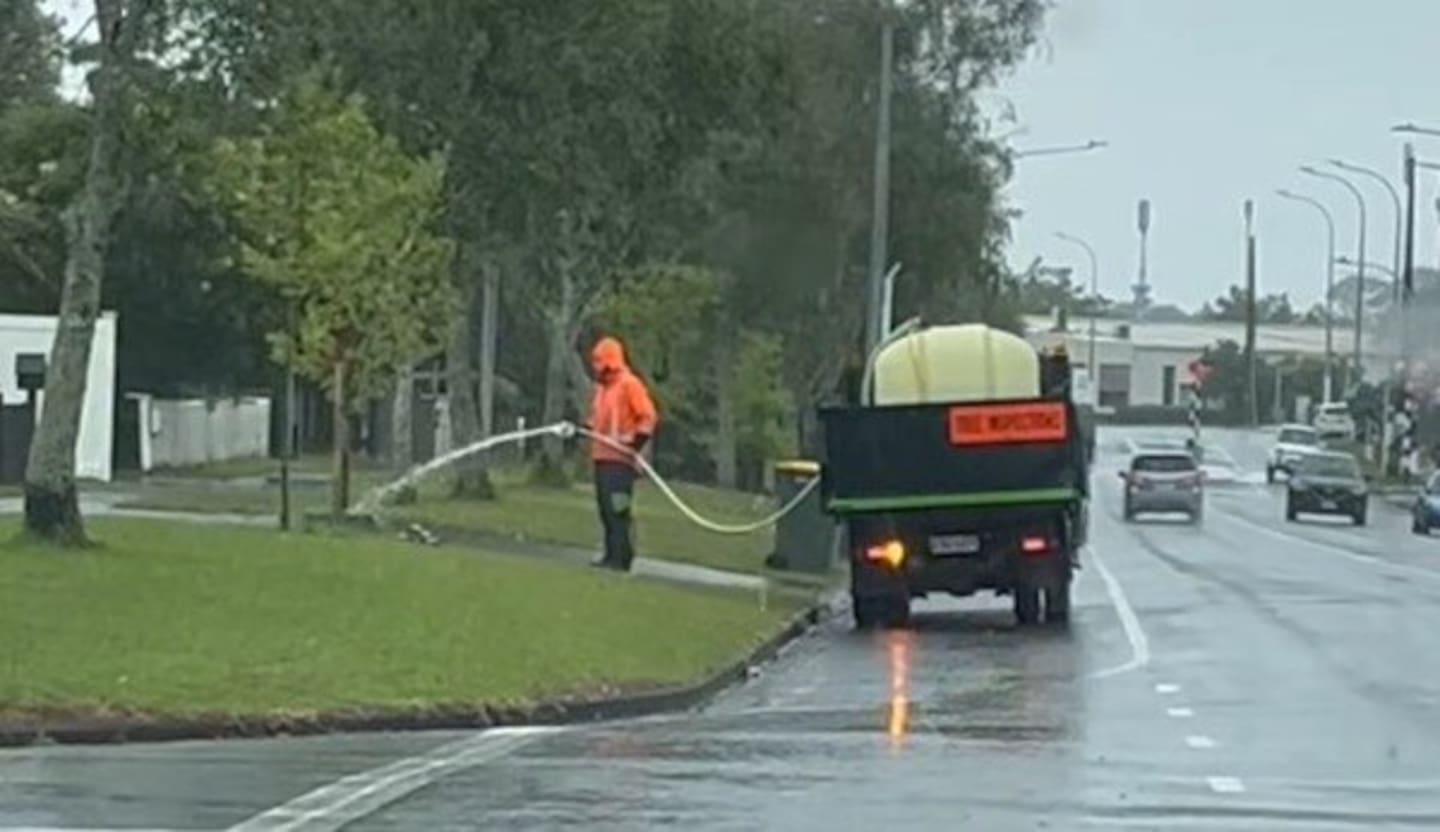 The Auckland Council contractor was filmed watering a tree during heavy rainfall. Photo / Facebook